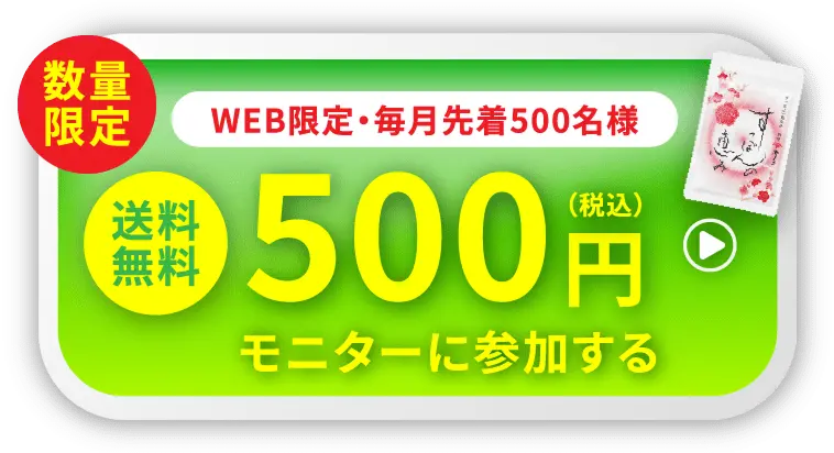 送料無料税込500円モニターに参加する