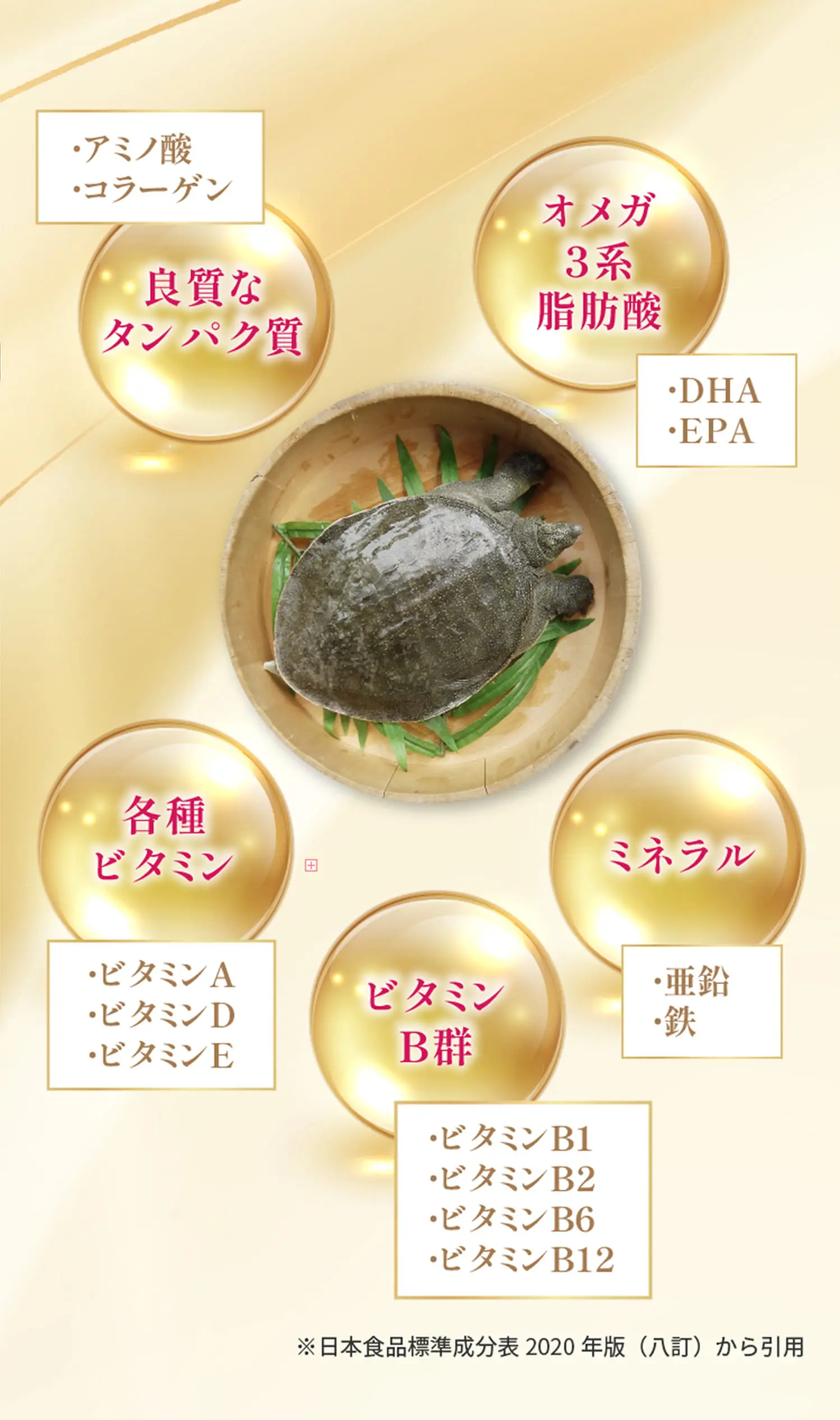 すっぽんの恵みに含まれる栄養素の説明画像